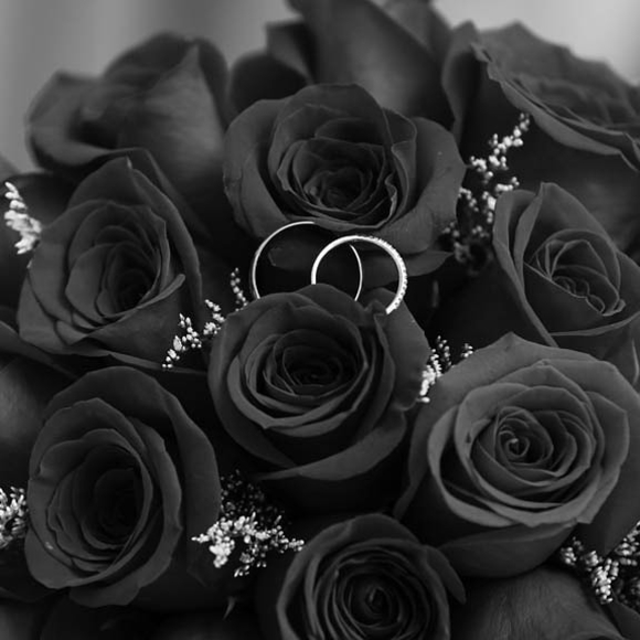 Meet the Posher Other - Meet your Posher, Lisa